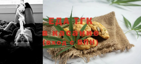 дживик Бородино