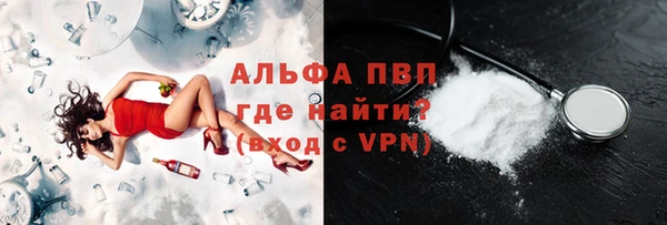 дживик Бородино