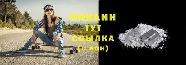 дживик Бородино