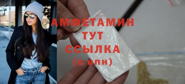 дживик Бородино