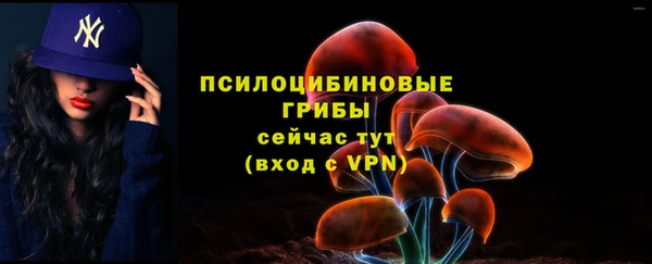 дживик Бородино