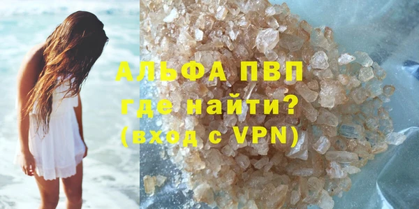дживик Бородино