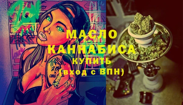 дживик Бородино