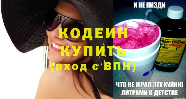 дживик Бородино