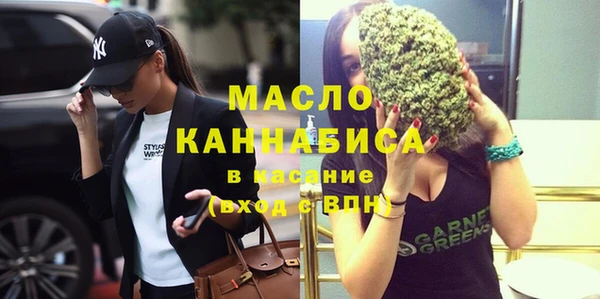 дживик Бородино