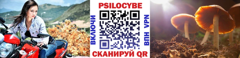 Галлюциногенные грибы мицелий  Купить  Макушино 